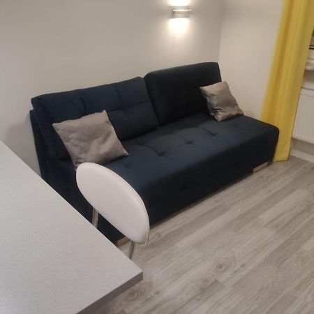 Siemianowice Śląskie Comfortable Studio Only 20 Minutes From International Conference Center Katowice Best Place For Wuf2022 Eec Tnf Off Etc מראה חיצוני תמונה