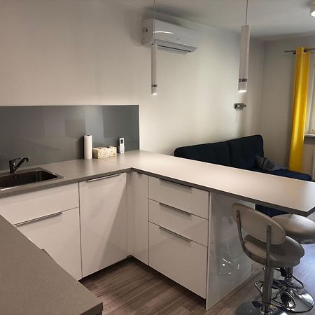 Siemianowice Śląskie Comfortable Studio Only 20 Minutes From International Conference Center Katowice Best Place For Wuf2022 Eec Tnf Off Etc מראה חיצוני תמונה