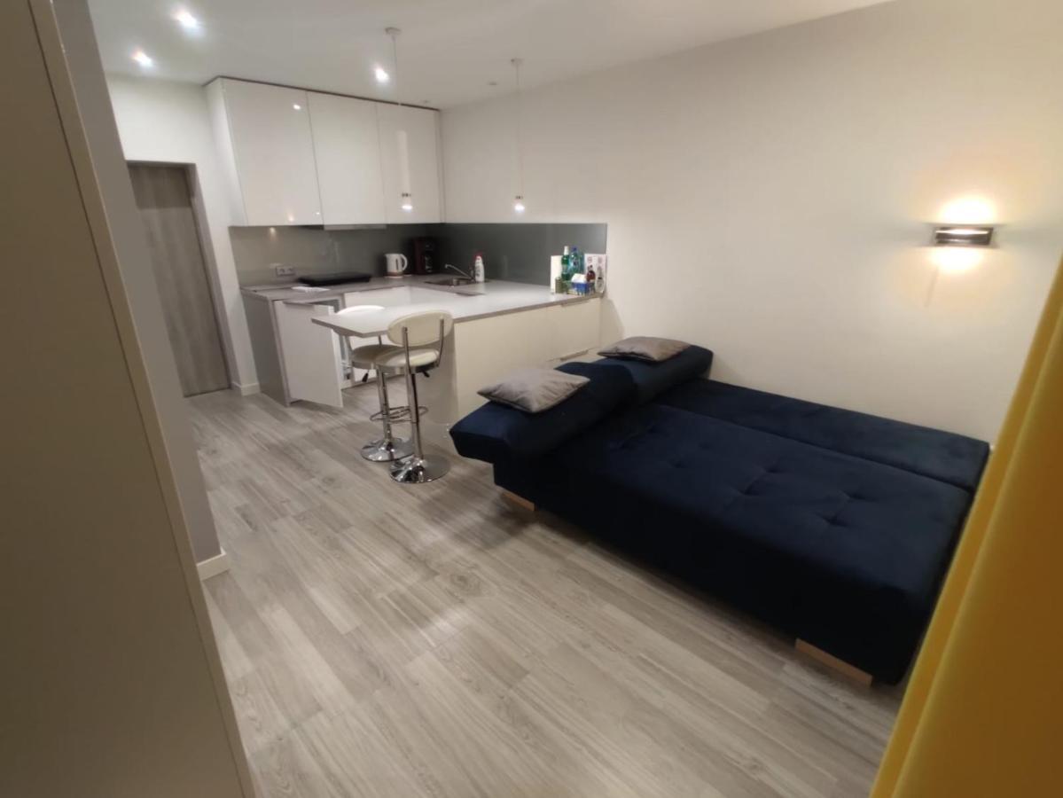 Siemianowice Śląskie Comfortable Studio Only 20 Minutes From International Conference Center Katowice Best Place For Wuf2022 Eec Tnf Off Etc מראה חיצוני תמונה