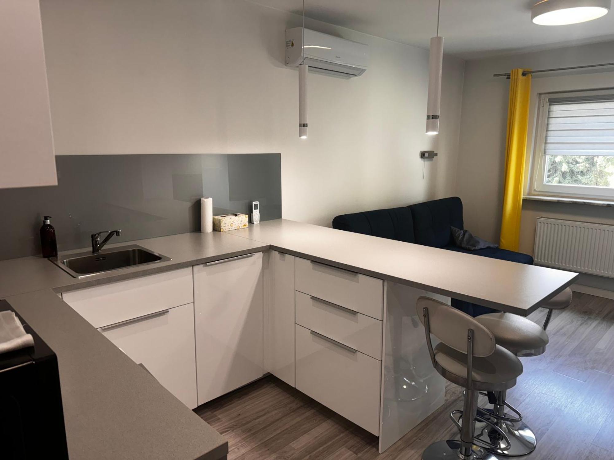 Siemianowice Śląskie Comfortable Studio Only 20 Minutes From International Conference Center Katowice Best Place For Wuf2022 Eec Tnf Off Etc מראה חיצוני תמונה